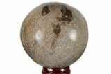 Polished Agatized Dinosaur (Gembone) Sphere - Morocco #189820-1